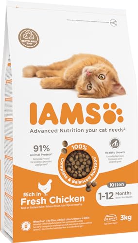 IAMS-Katzenfutter Iams Junior Katzenfutter trocken mit Huhn