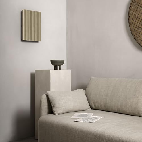 Bang-und-Olufsen-Lautsprecher Bang & Olufsen Beosound Level