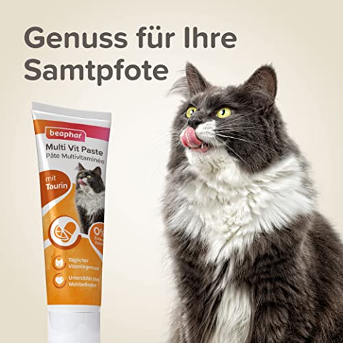 Vitaminpaste-Katze beaphar Multi-Vitamin-Paste für Katzen, 250 g