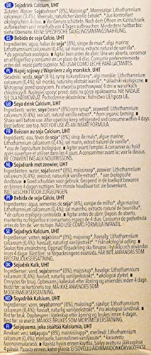 Sojadrink Natumi Soya Drink Calcium Bio, 12er Pack (12 x 1.049 l)