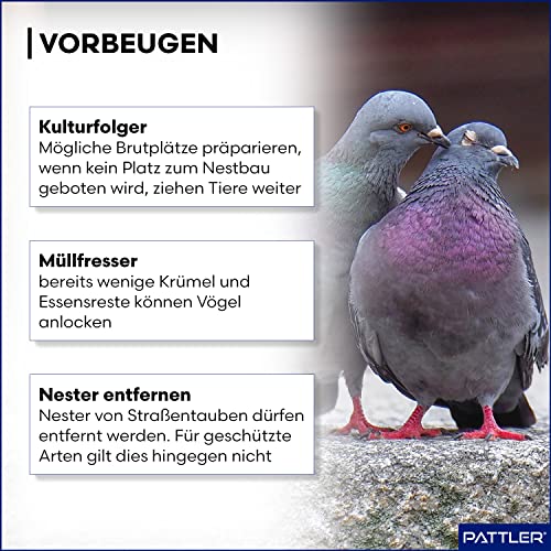 Taubenabwehr PATTLER ® Vogelabwehr aus Robustem Kunststoff