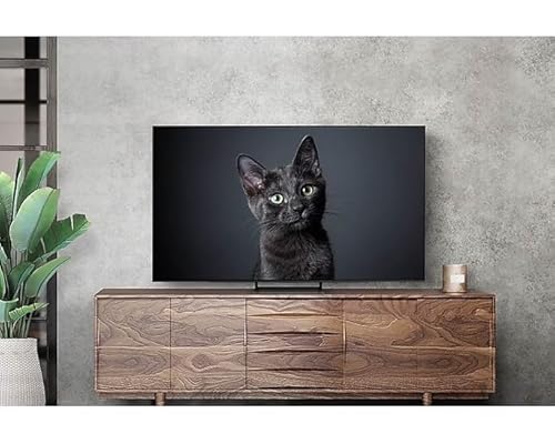 OLED 65 Zoll Samsung OLED 4K S90C 65 Zoll, Quantum HDR