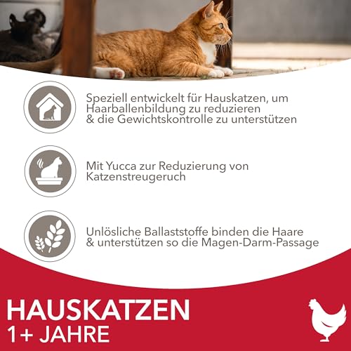 IAMS-Katzenfutter Iams Indoor Katzenfutter trocken mit Huhn