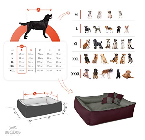 Hundebett BedDog 2in1 MAXQ, Hundekissen