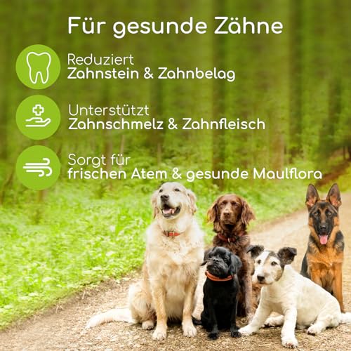 Dental-Sticks für Hunde Wolfsbacher Natur Zahnpflege-Snacks