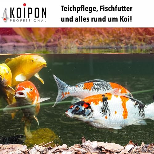 Fadenalgenvernichter KOIPON Pon-Vital 2,5 kg, 100% biologisch