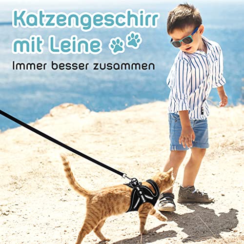 Katzengeschirr Kitten AOKCATS Katzengeschirr mit Leine