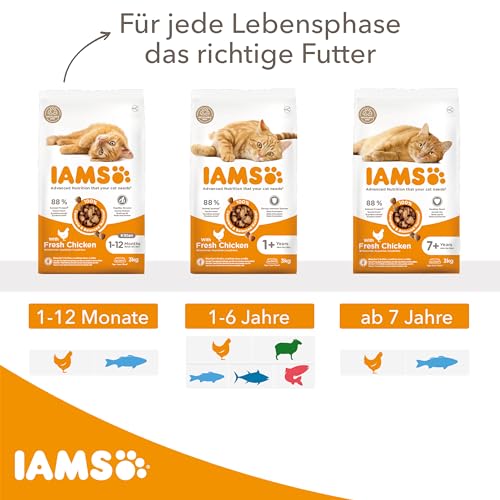 Katzen-Trockenfutter Iams Katzenfutter trocken mit Huhn