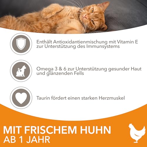 IAMS-Katzenfutter Iams Katzenfutter trocken mit Huhn