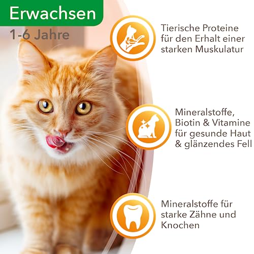 IAMS-Katzenfutter Iams Delights Land Collection, Nass