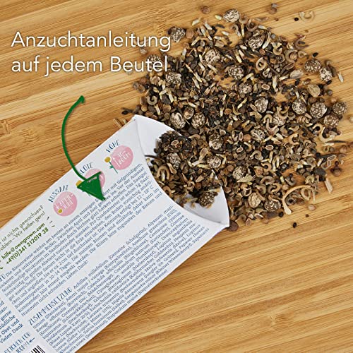 Blumenwiese-Samen OwnGrown Bienenwiese Blumenmischung: 100g Premium