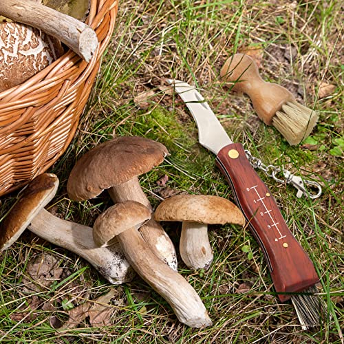 Pilzmesser GVDV mit Bürste und Lineal, Champignon/Trüffel