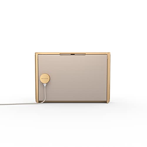 Bang-und-Olufsen-Lautsprecher Bang & Olufsen Beosound Level