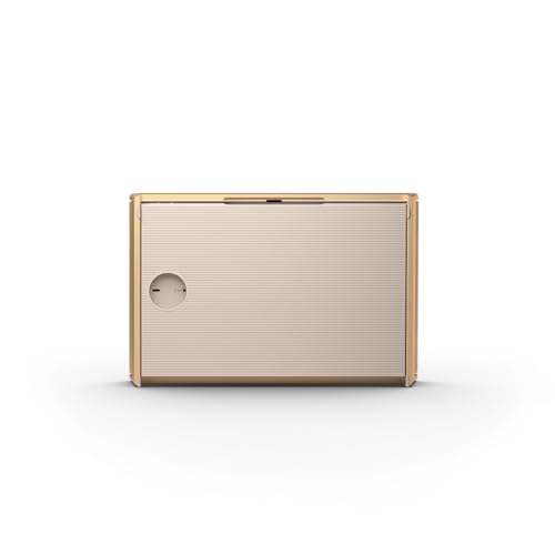 Bang-und-Olufsen-Lautsprecher Bang & Olufsen Beosound Level