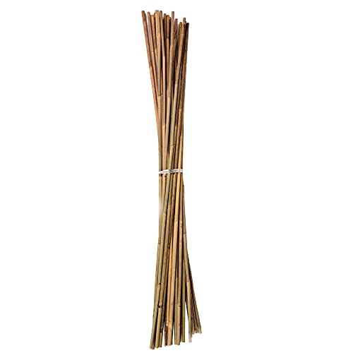 Bambusrohre UNUS Bambusstäbe, Pflanzenstäbe zur Stabilisierung