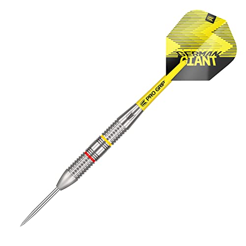 Steeldarts Target Darts Gabriel Clemens 22G Brass Dartpfeile -Set