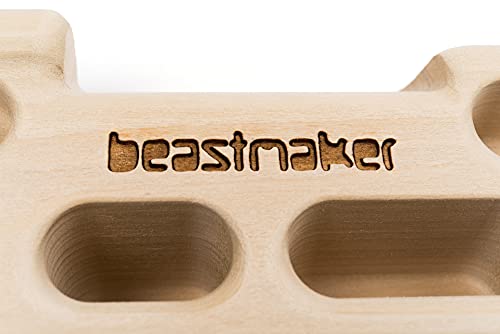 Hangboard Beastmaker 1000 Series