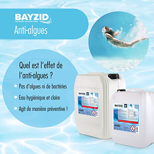 Algenvernichter Pool Höfer Chemie 5 L BAYZID® Pool Algizid