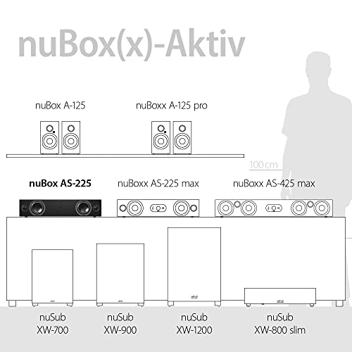 Soundbar für TV Geräte Nubert nuBox AS-225