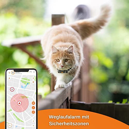 GPS für Katzen Weenect XS für Katzen – NEU Mini GPS-Tracker