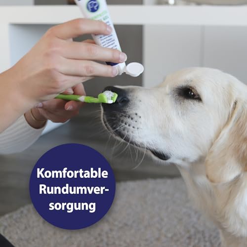 Zahnpflege Hund Canosept (3-teiliges Set) Hundezahnbürste