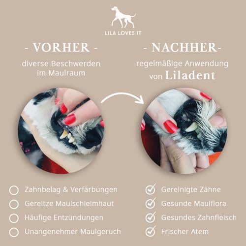 Zahnpflege Hund LILA LOVES IT Zahncreme für Hunde, natürlich