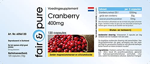 Cranberry-Kapseln Fair & Pure Cranberry Kapseln hochdosiert 1200mg