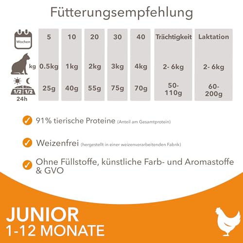 IAMS-Katzenfutter Iams Junior Katzenfutter trocken mit Huhn