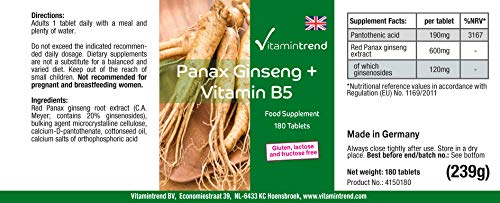 Ginseng-Kapseln Vitamintrend Panax Ginseng + Vitamin B5