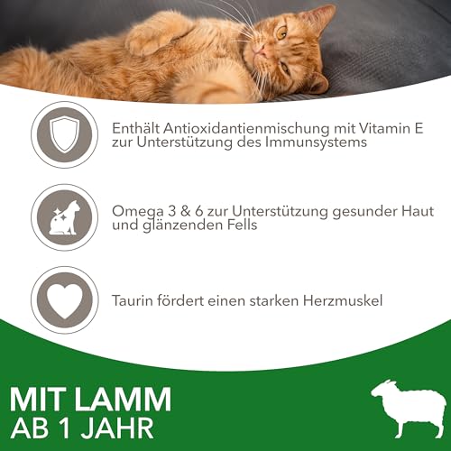 IAMS-Katzenfutter Iams Katzenfutter trocken mit Lamm