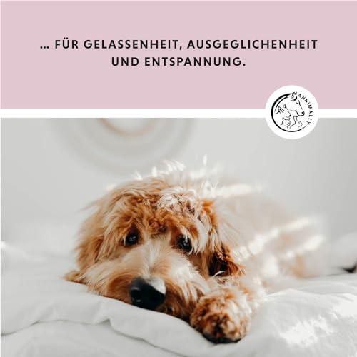 Beruhigungsmittel für Hunde Annimally Hunde Relax Tabletten