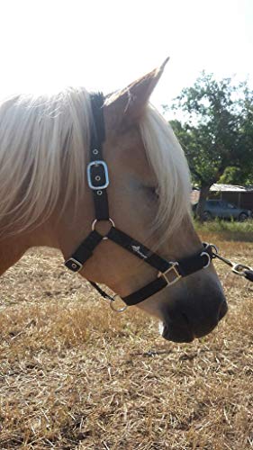 Kappzaum JF-Reitsport Unisex Erwachsene Nylonholder med blødt