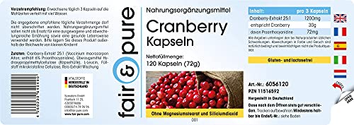 Cranberry-Kapseln Fair & Pure Cranberry Kapseln hochdosiert 1200mg