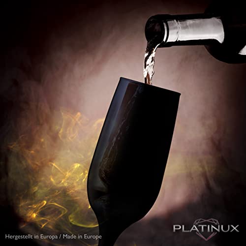 Sektgläser PLATINUX Schwarze stabile aus Glas Champagnergläser Set