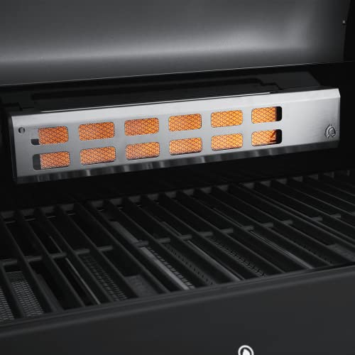 Gasgrill schwarz BURNHARD 6-Brenner Gasgrill Fat FRED Deluxe