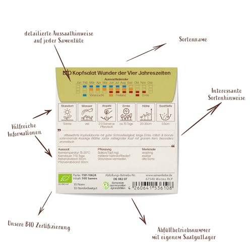 Kopfsalat-Samen Samenliebe BIO Kopfsalat Samen alte Sorte