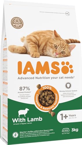 IAMS-Katzenfutter Iams Katzenfutter trocken mit Lamm