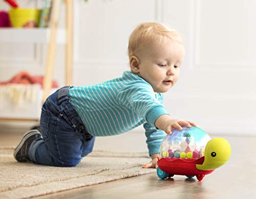 Schiebetier B. toys Baby Spielzeug Schildkröte Lauflernhilfe