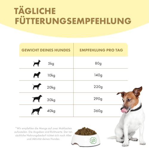 Hundefutter für magen-darm-empfindliche Hunde Irish Pure Senior