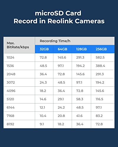 Micro-SD-256GB Reolink 256GB Micro SD Karte, Klasse 10 A2 U3