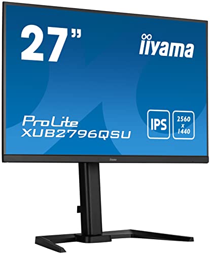 iiyama-Gaming-Monitor COMPUTER MOUSE iiyama Prolite