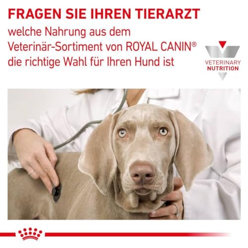 Diätfutter Hund ROYAL CANIN Veterinary Renal 2 kg