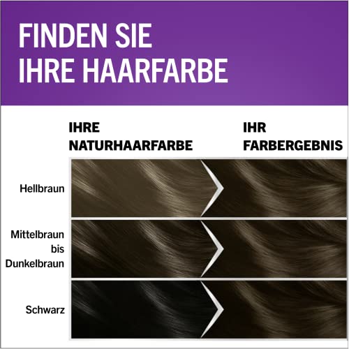 Haarfarbe dunkelbraun Perfect Mousse Schwarzkopf Permanente