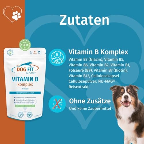 Hunde-Vitamine DOG FIT by PreThis ® Vitamin B Komplex