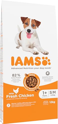 Hundetrockenfutter Iams Hundefutter trocken mit Huhn