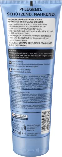 Balea-Shampoo Balea Professional Shampoo Winter Protect