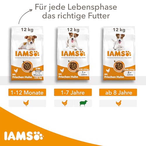 Welpen-Trockenfutter Iams for Vitality Junior Hundefutter trocken