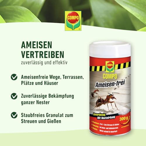 Ameisengift Compo Ameisen-frei – ideal gegen Ameisen