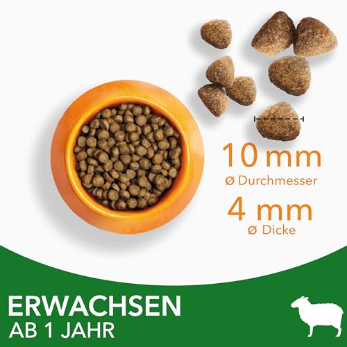 IAMS-Katzenfutter Iams Katzenfutter trocken mit Lamm