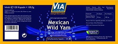 Yamswurzel-Kapseln Via Vitamine Mexican Wild Yam 750 mg pro Kapsel